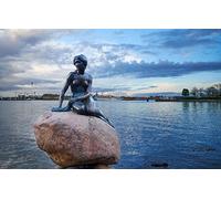 LHJOYSP Puzzle Animales Adulto Puzzle 1000 Piezas Ciudad Dinamarca Puerto Estatua La Sirenita Copenhague 75x50cm