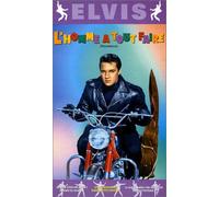 L'homme a tout faire [Francia] [VHS]