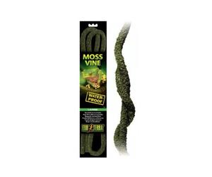 Lianas Moss Vine Exo Terra - Grande