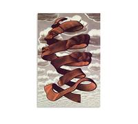 LIANGSHUANG Póster de corteza de M.C. Escher Pósteres, impresión artística para pared, pintura fotográfica, póster para colgar, decoración familiar, 20 x 30 pulgadas (50 x 75 cm)
