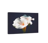 lianyibo lienzo impreso para pared con diseño de dos lirios cala en primer plano, estilo botánico moderno, retrato contemporáneo para decoración de sala de estar (30x40cm/marco interior).