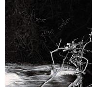 Liar, Flower Geiger Counter (Vinyl) 12" Album (Importación USA)