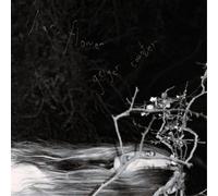 Liar, Flower Geiger Counter (Vinyl) 12" Album (Importación USA)