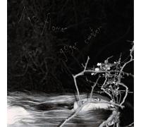 Liar, Flower Geiger Counter (Vinyl) 12" Album (Importación USA)