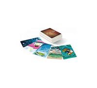 Libellud - Extensión: Mirrors - Asmodee - Juegos de mesa, de comunicación (versión en francés), DIX12FR