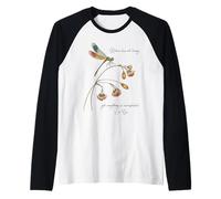 Libélula con Cita Famosa Antigua Leyenda China Lao Tzu Camiseta Manga Raglan