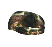 Library Library Bookshelf Book Healthy Sports Decorative Fashion Sports Sweat-Absorbent Headband, Headband, Good Elasticity, Can Be Used in All Seasons, both Men And Women Can Wear.The Width is 38cm