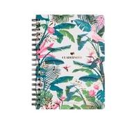 LIBRETA A5 TAPA DURA LA VECINA RUBIA 'CUADERNITO' (TANTANFAN)