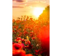 Libreta campo de amapolas rojas al atardecer: Cuaderno con líneas para diario personal, notas creativas, journaling y regalo inspirado en la naturaleza (Libretas de flores)