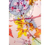 LIBRETA DREAMS | Libreta de notas de puntos A6 | Cuaderno notas | Notebook hojas de puntos | 80 páginas | 80 pages