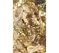 Libreta pequeña Texturas XIII