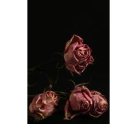 Libreta Rosas Marchitas: Cuaderno con Renglones y Estética Oscura y Sofisticada