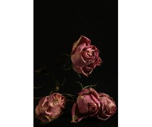 Libreta Rosas Marchitas: Cuaderno con Renglones y Estética Oscura y Sofisticada