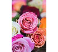 Libreta Rosas Multicolor: Cuaderno con líneas y diseño floral vibrante