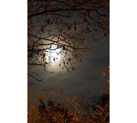 Libreta superluna entre ramas de árbol: Cuaderno con líneas y diseño nocturno