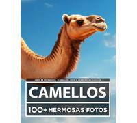Libro De Fotografía - Camellos - Gran y Asombrosa Colección: 100 Hermosas Fotos En Este Fantástico Libro De Fotos De Camellos - Para Niños y Adultos