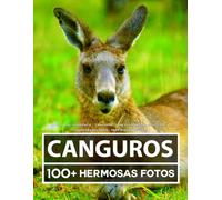 Libro De Fotografía - Canguros - Gran y Asombrosa Colección: 100 Hermosas Fotos - Para Niños y Adultos