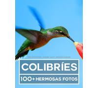 Libro De Fotografía - Colibríes - Gran y Asombrosa Colección: 100 Hermosas Fotos En Este Fantástico Libro De Fotos De Colibríes - Para Niños y Adultos