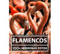 Libro De Fotografía - Flamencos - Gran y Asombrosa Colección: 100 Hermosas Fotos En Este Fantástico Libro De Fotos De Flamencos - Para Niños y Adultos