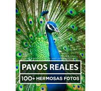 Libro De Fotografía - Pavo Real - Gran y Asombrosa Colección: 100 Hermosas Fotos En Este Fantástico Libro De Fotos De Pavo Real - Para Niños y Adultos