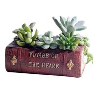 Libro de literatura de estilo retro con maceta suculenta R