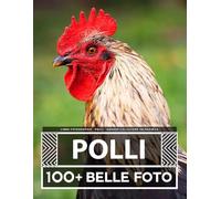 Libro Fotografico - Polli - Grande Collezione Incredibile: 100 Bellissime Foto Di Polli In Una Fantastica Collezione - Per Bambini E Adulti