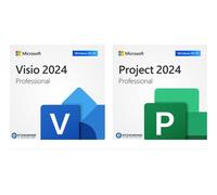 Licencia de por vida para programa: Microsoft Visio Professional 2024 / LTSC