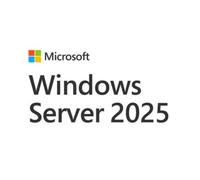 Licencia de usuario Microsoft Windows Server CAL Español 1 usuario 64-bit