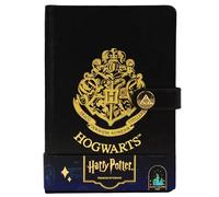 Licensed Harry Potter House notebook journal, parchment paper, house logo, house history, Gold printed house crest logo in front, Hogwarts, Gryffindor, Slytherin, Hufflepuff and Ravenclaw (Hogwarts)