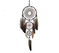 Lichi Atrapasueños de plumas indias, regalo de bendición, hecho a mano, atrapasueños, decoración colgante