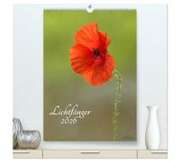 Lichtfänger (hochwertiger Premium Wandkalender 2026 DIN A2 hoch), Kunstdruck in Hochglanz: Wunderschöne Lichtmomente - Die Welt der Blumen und ... zarten lichtdurchfluteten Detailaufnahmen