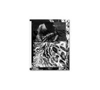 lick of tongue, rub of finger, on soft wound