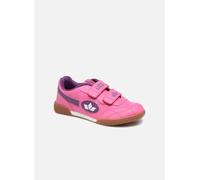 Lico Bernie V 34 Rosa
