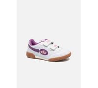 Lico Bernie V 35 Violeta