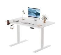 LICONG-2020 Mesa de PC Escritorio eléctrico de pie, Escritorio Ajustable en Altura, Soporte de Metal en Forma de T for computadora