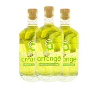 Licores Les Rhums de Ced Culture Arrangé Menthe Citron Vert Licor Macerado 70 cl (Caja de 3 Botellas de 70 cl)