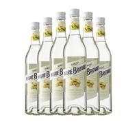 Licores Marie Brizard Caña de Azúcar 70 cl (Caja de 6 Botellas de 70 cl)