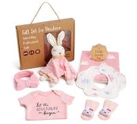Lictin Cesta de Recién Nacido para Niñas bebé- Cesta de Bebé Recién Nacido,Regalos para niñas recién nacidas con baberos,manta de seguridad conejo,calcetines, hitos de madera etc.regalos para niñas