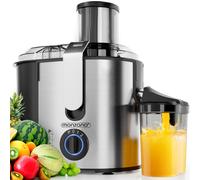 Licuadora para frutas y verduras, de acero inoxidable