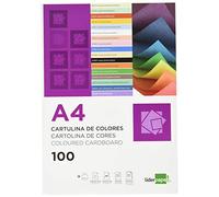 Cartulina liderpapel a4 180g/m2 salmon paquete de 100 hojas - CT14