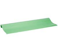 Liderpapel 59139 papel 1 x 25 m 65 G/m2, Malaquite Rodillo Verde