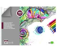 Bloc dibujo liderpapel lineal espiral 460x325mm 20 hojas 180 g/m2 con recuadroperforado - DA15