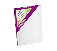 Lidercolor Pintura Lienzo 15F Algodón 100% Marco Pawlonia 18X38 cm Marco Madera 65X54 cm