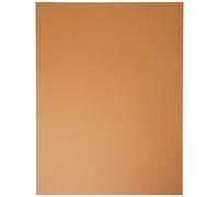 Cartulina liderpapel 50x65 cm 180 gr marron escolar paquete de 25 - CT47