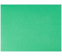 Cartulina liderpapel 50x65 cm 240g/m2 verde pistacho paquete de 25 unidades - CT31