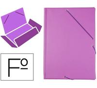 Liderpapel CG81 - Carpeta con gomas