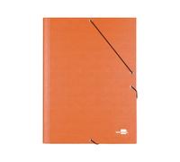Carpeta clasificadora liderpapel 12 departamentos folio prolongado carton forrado naranja - CS06