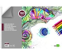 Bloc dibujo liderpapel artistico espiral 460x325mm 20 hojas 180 g/m2 sin recuadroperforado - DA13