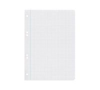 Liderpapel Recambio bloc A5 100 hojas 75gr cuadro 6mm con margen 6 taladros.