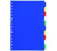 Liderpapel Separador Plástico Juego De 10 Separadores Folio 16 Taladros